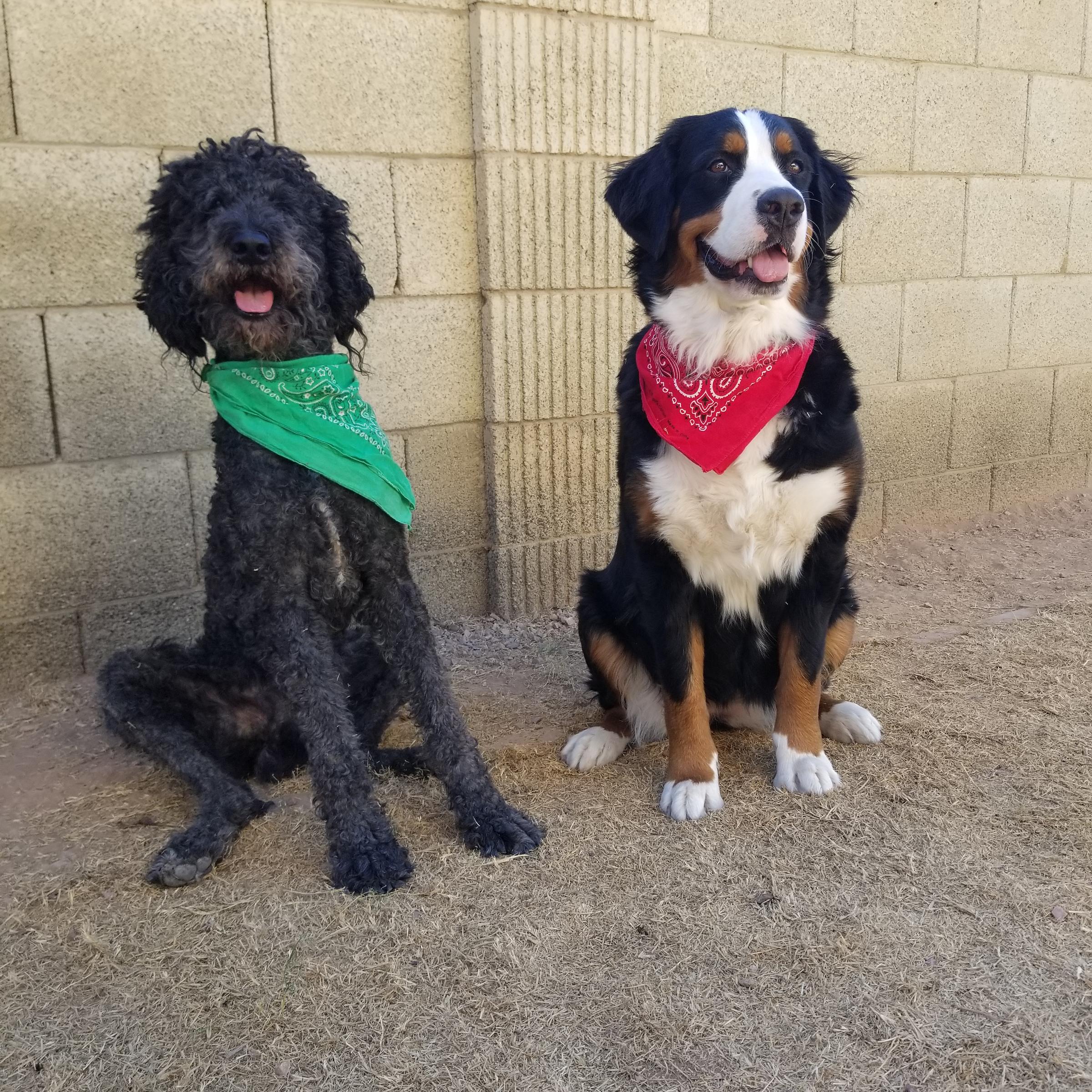 Nali and Axel sitting side-by-side